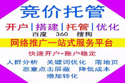 百度广告投放策略优化及成功案例解析